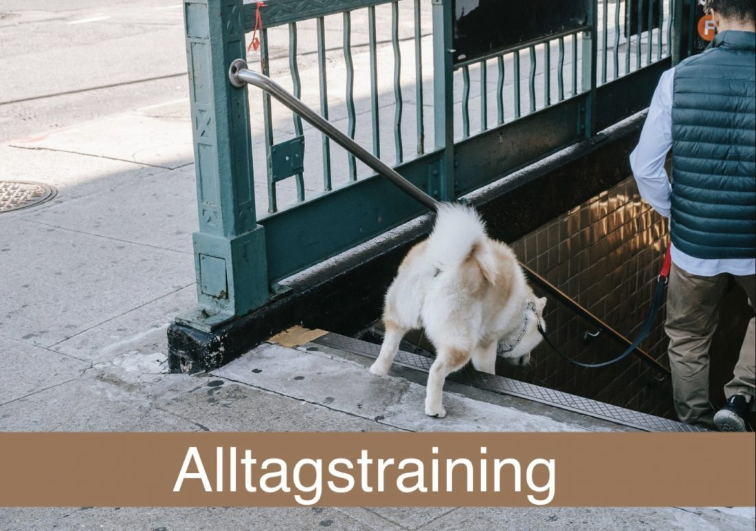 Alltagstraining 