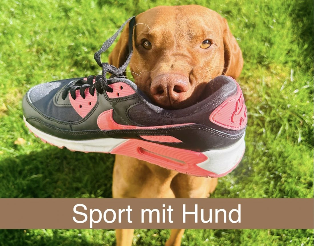 Sport mit Hund 