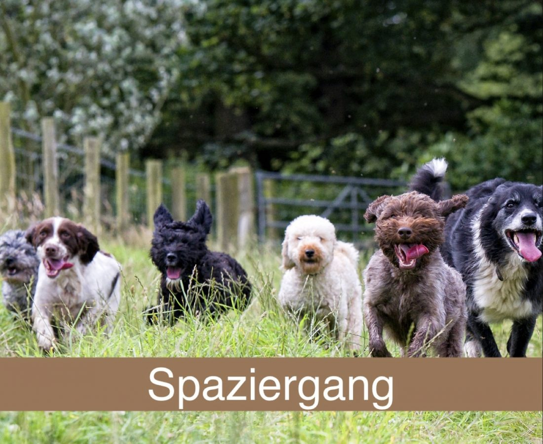 Spaziergang 