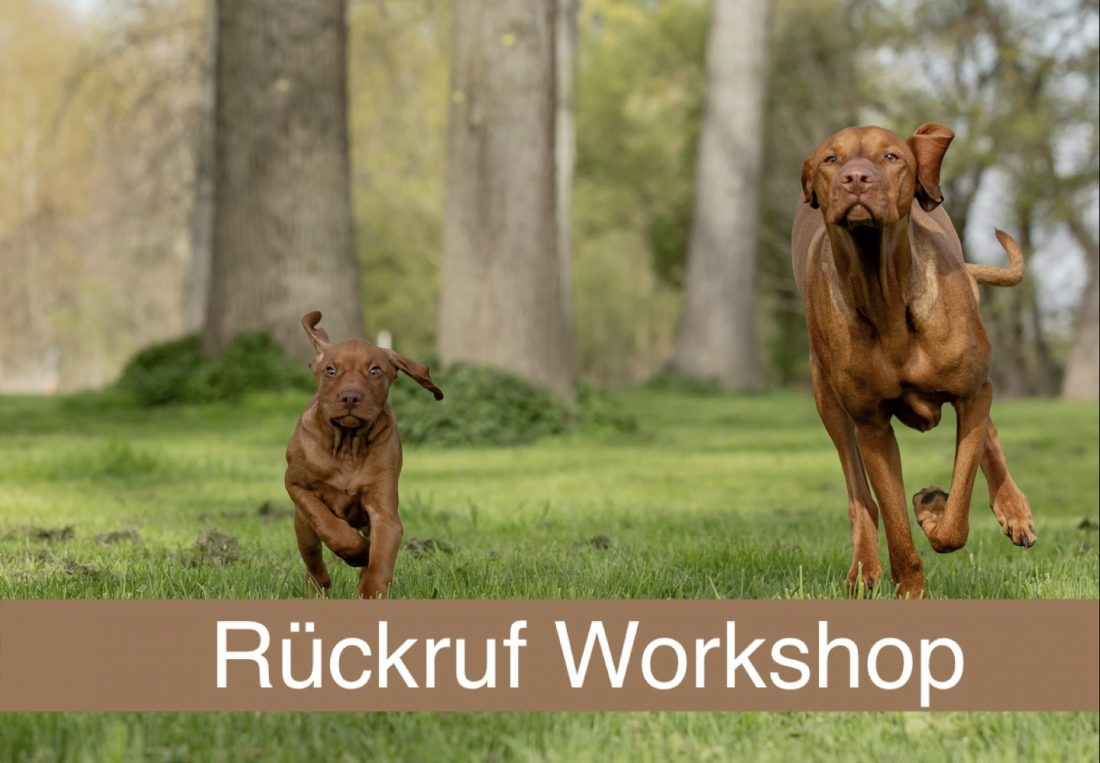 Rückruf Workshop 