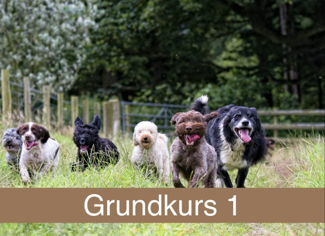 Grundkurs 1