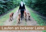 Laufen an lockeren Leine 