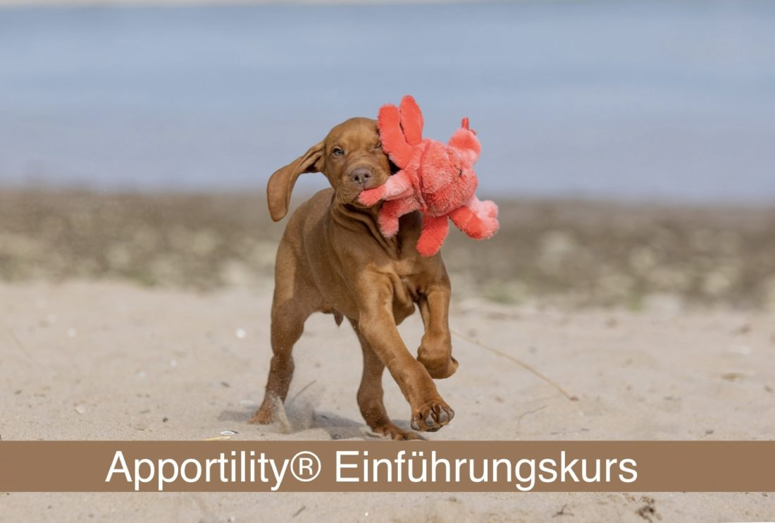 Apportiliy® Einfühungskurs 