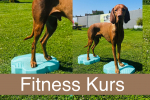 Fitness Kurs