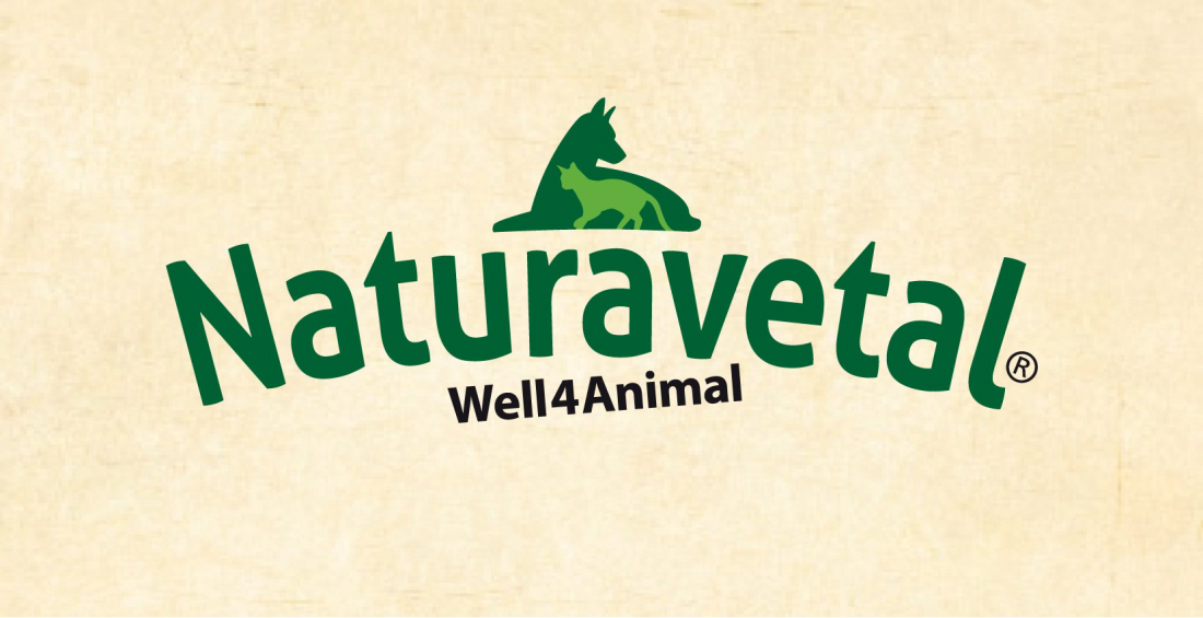 Futterberatung
