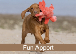 Fun Apport